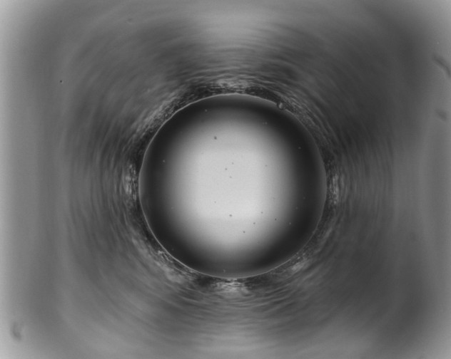 X0000101980424200807251238