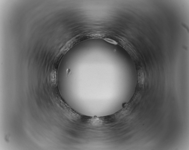 X0000101980425200807251238