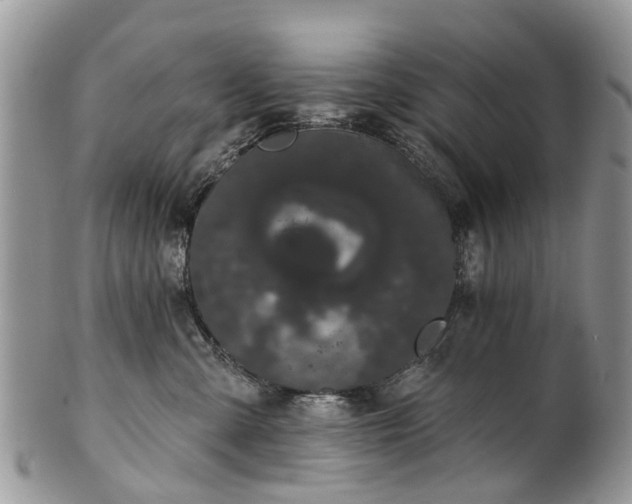 X0000101980427200807251238