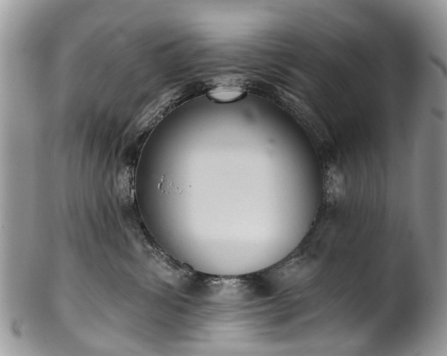 X0000101980428200807251238