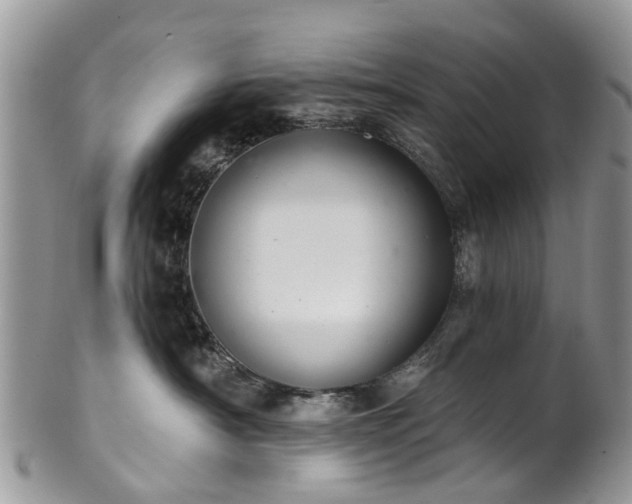 X0000101980430200807251238