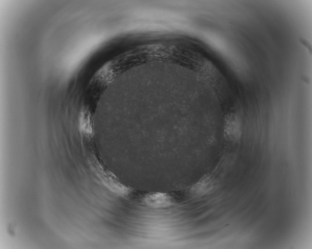 X0000101980431200807251238