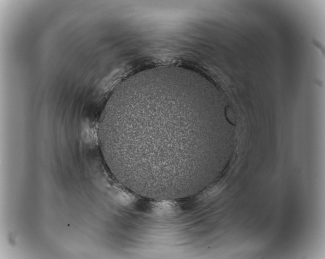 X0000101980432200807251238