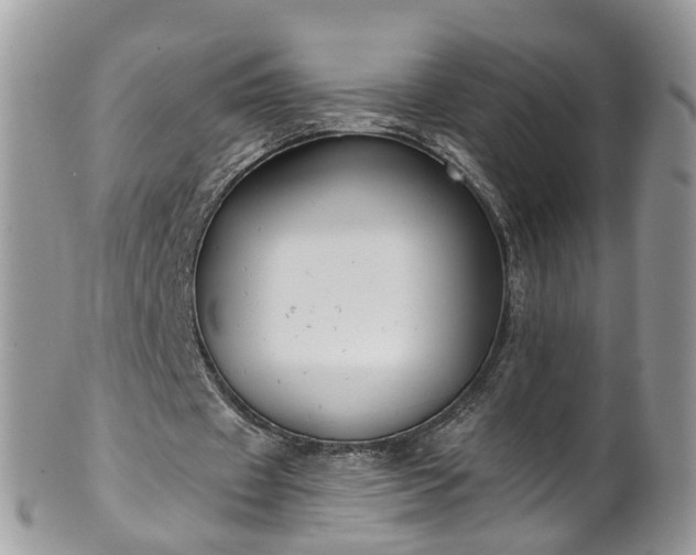 X0000101980433200807251237