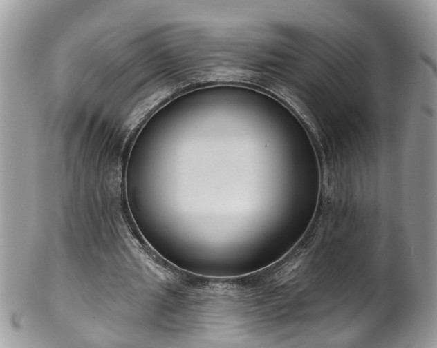 X0000101980437200807251237