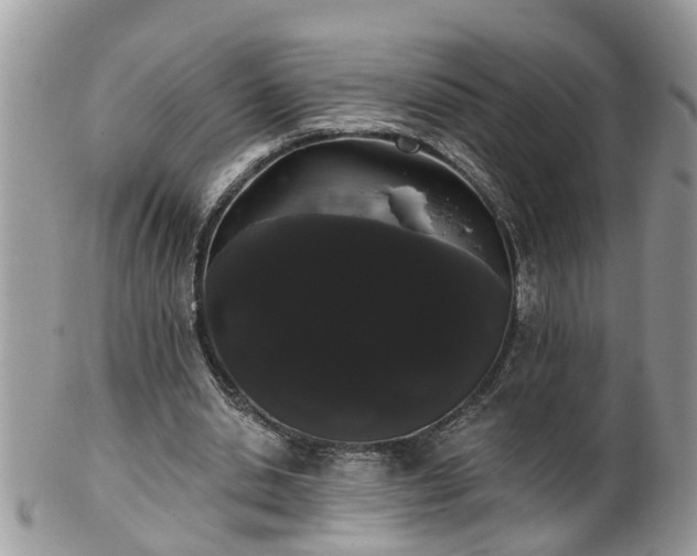 X0000101980438200807251237