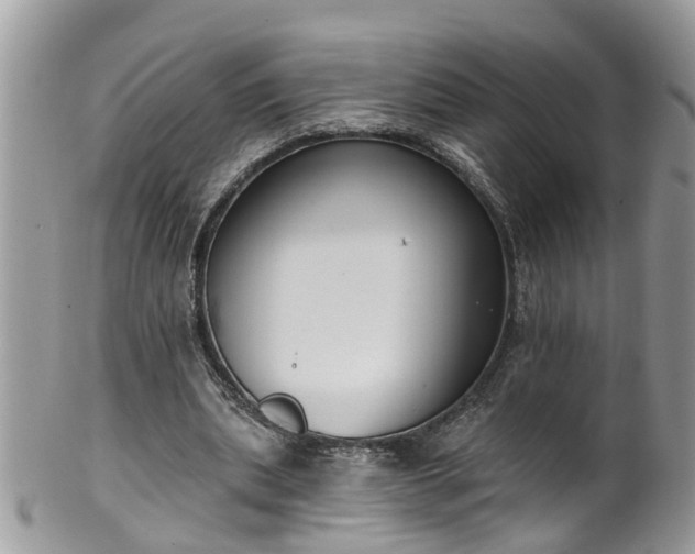 X0000101980439200807251237