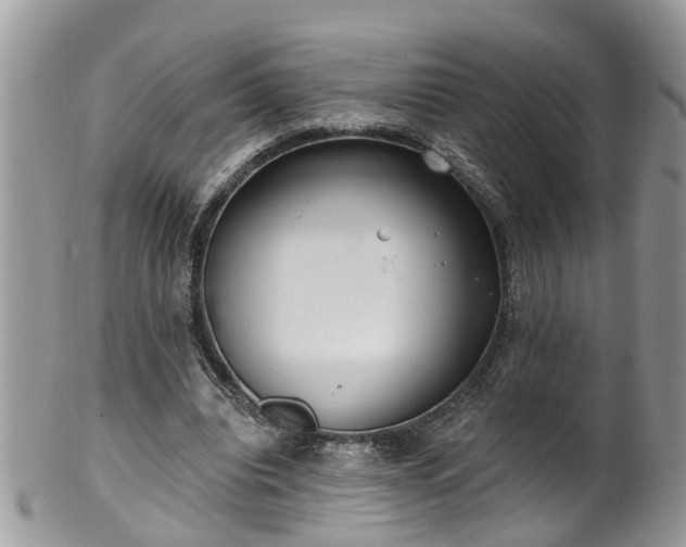 X0000101980440200807251237