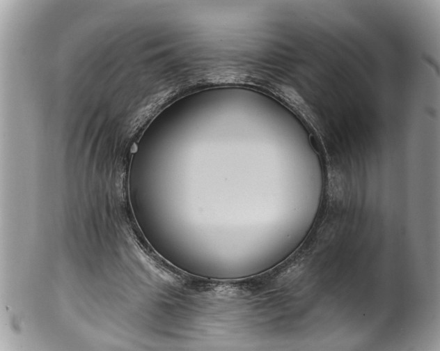 X0000101980441200807251237