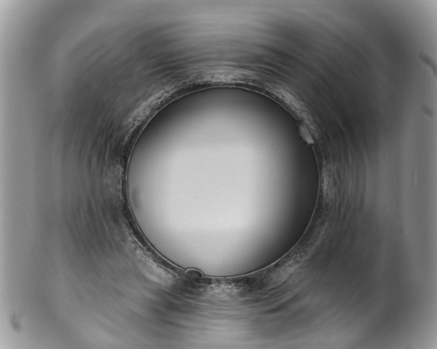 X0000101980445200807251237