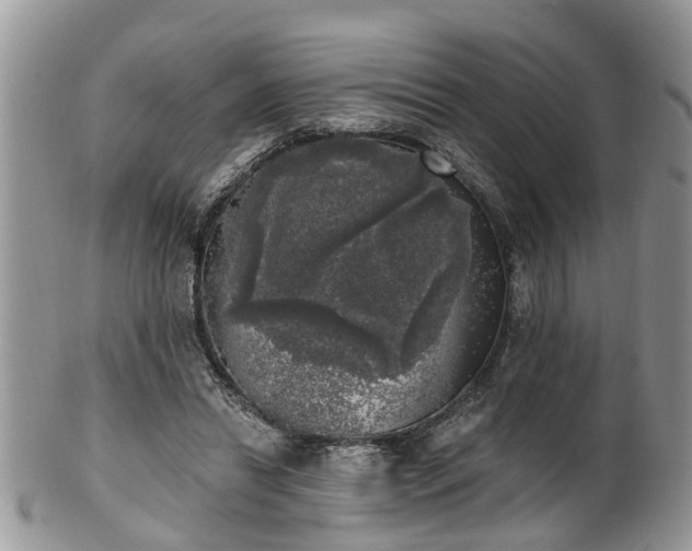 X0000101980446200807251237