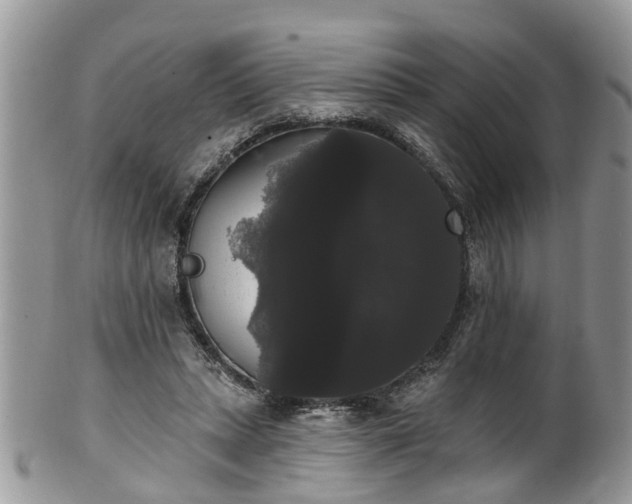 X0000101980447200807251237