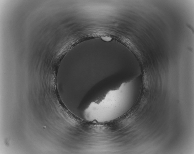 X0000101980449200807251237