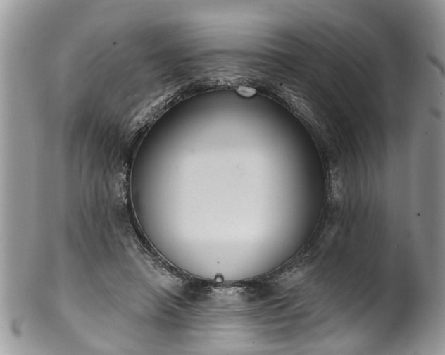 X0000101980450200807251237