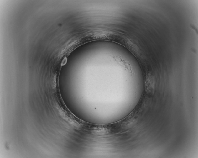 X0000101980454200807251237