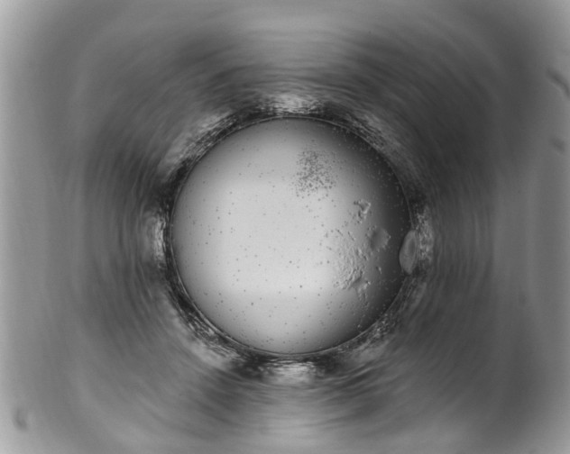 X0000101980456200807251237