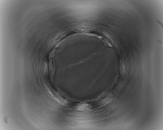 X0000101980459200807251237