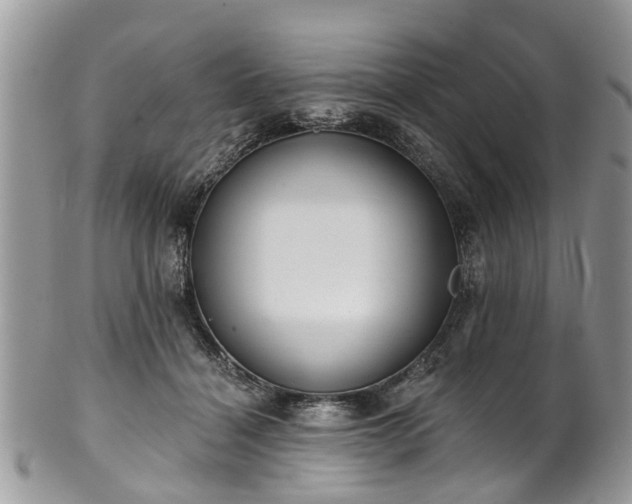 X0000101980460200807251237