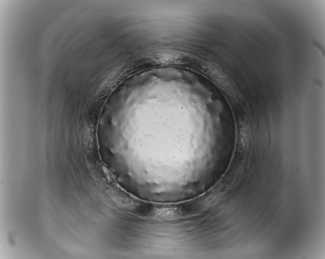 X0000101980461200807251237