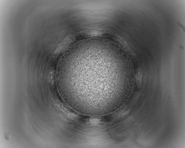 X0000101980462200807251237