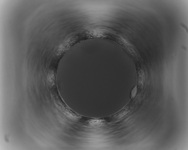 X0000101980465200807251237