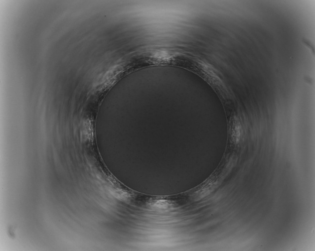 X0000101980467200807251237