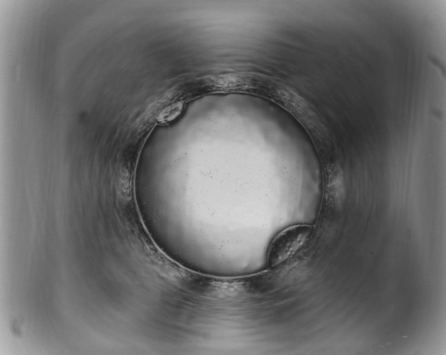 X0000101980469200807251238