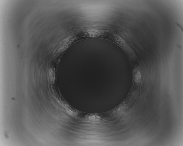 X0000101980471200807251238