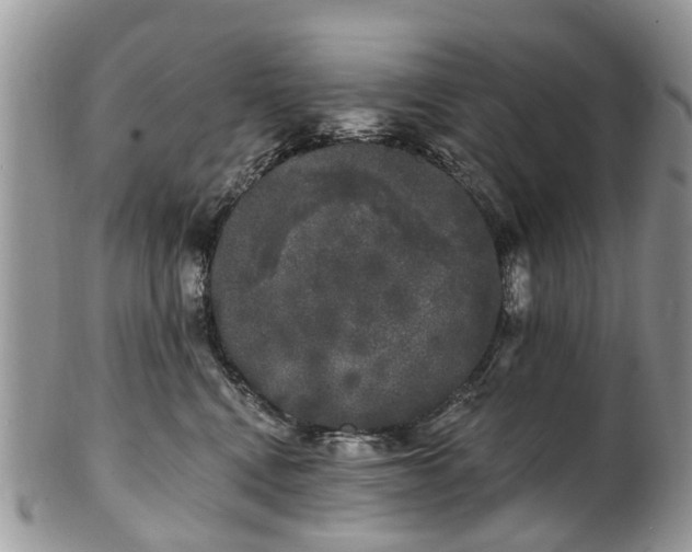 X0000101980472200807251238