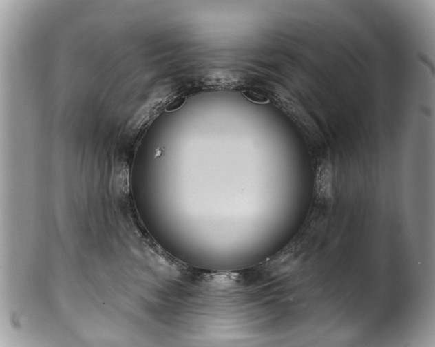 X0000101980474200807251238