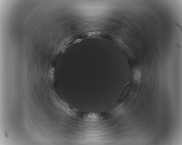 X0000101980475200807251238