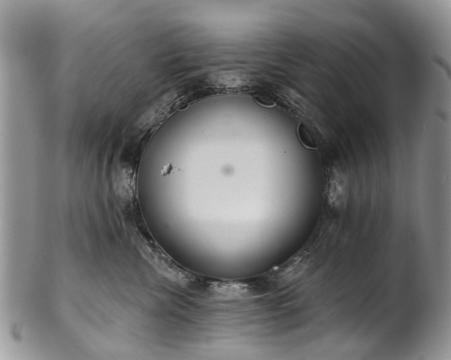 X0000101980476200807251238