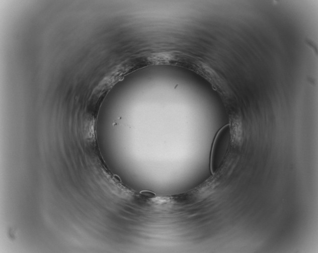 X0000101980477200807251238