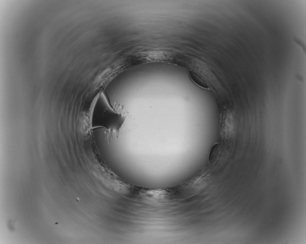 X0000101980478200807251238