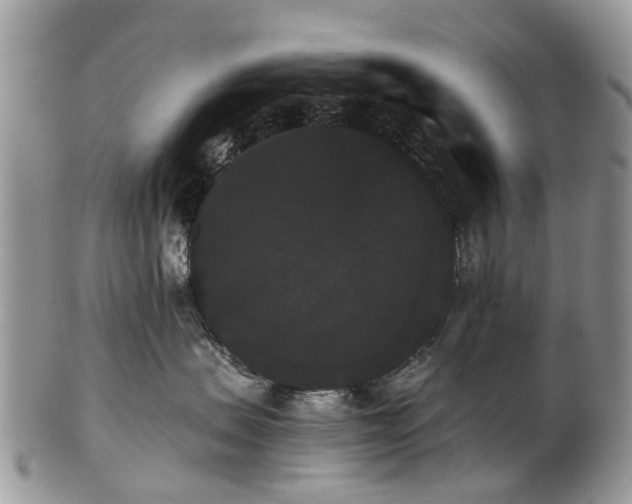 X0000101980479200807251238