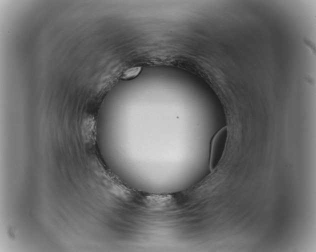 X0000101980480200807251238