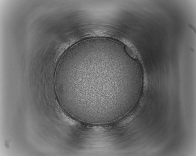 X0000101980481200807251237