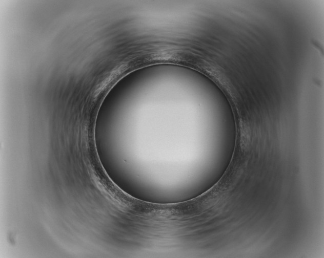 X0000101980482200807251237