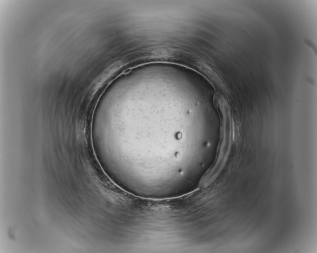 X0000101980483200807251237