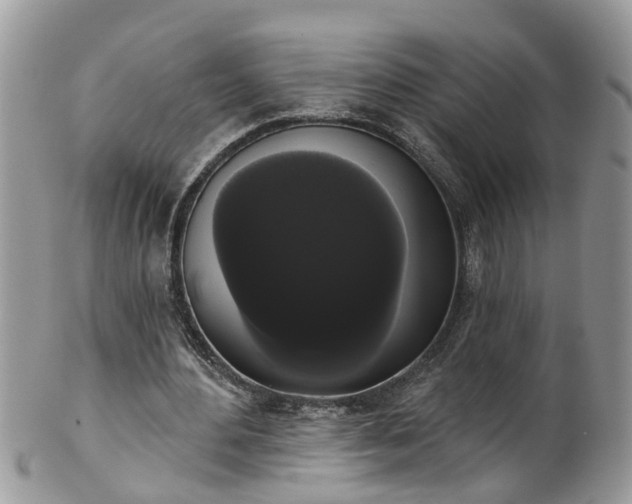 X0000101980484200807251237