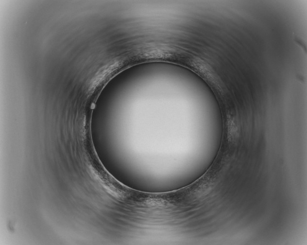 X0000101980490200807251237