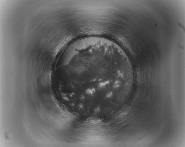 X0000101980491200807251237