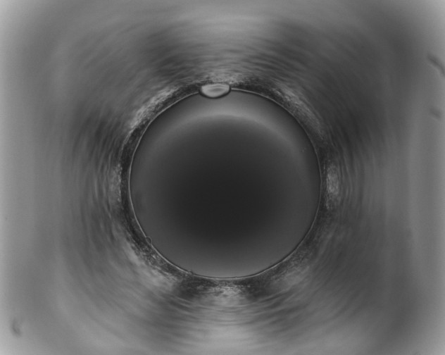 X0000101980492200807251237