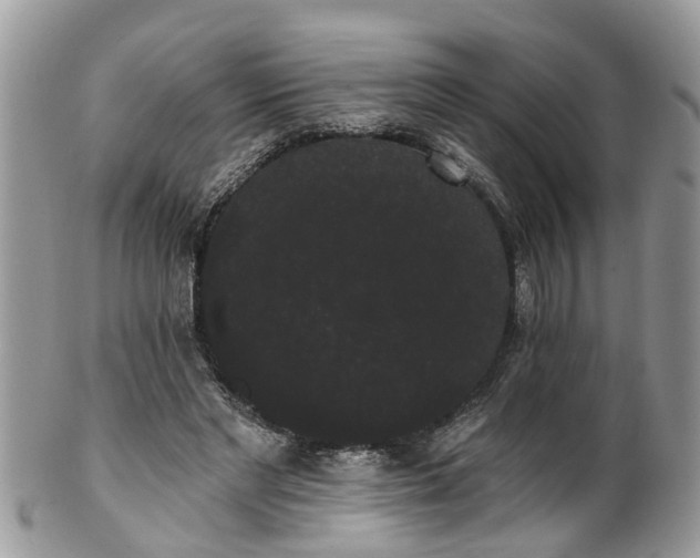 X0000101980493200807251237