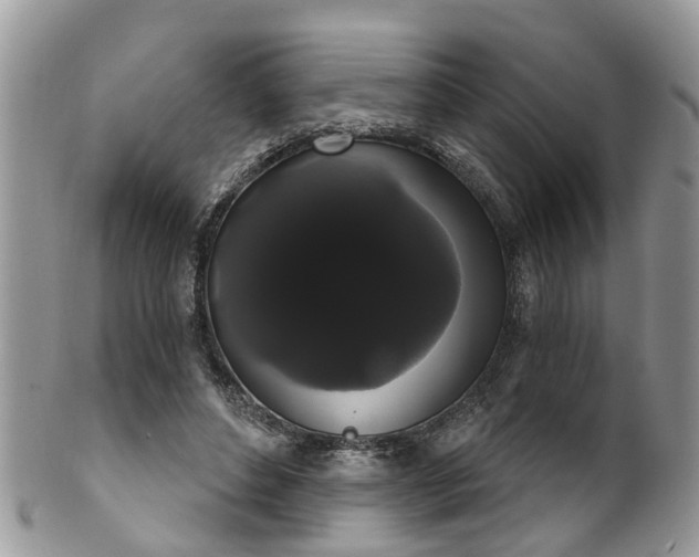 X0000101980496200807251237