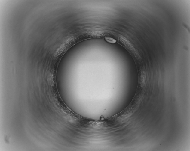 X0000101980497200807251237