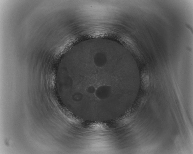 X0000101980499200807251237