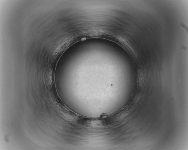 X0000101980501200807251237