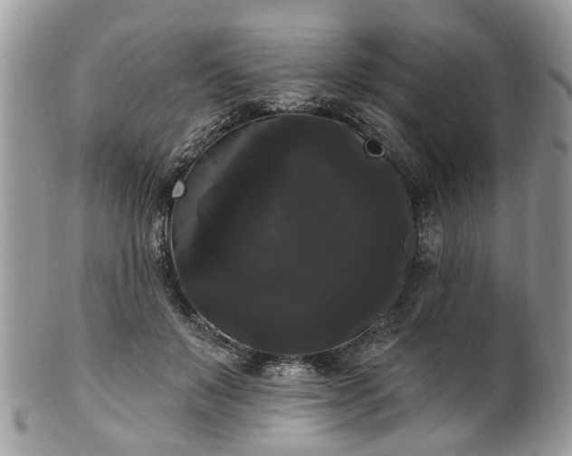 X0000101980503200807251237