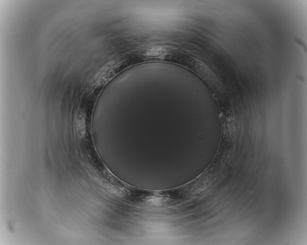 X0000101980504200807251237